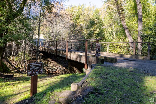Cross the scenic bridge, a charming feature within Windy Hill Open Space.