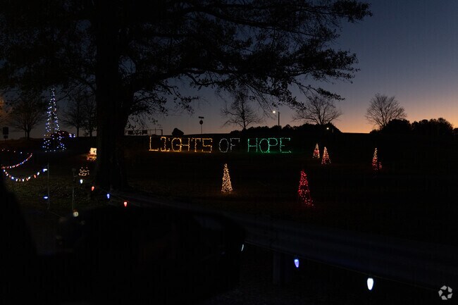 Every year Anderson residents drive through the lights of hope to support charity.