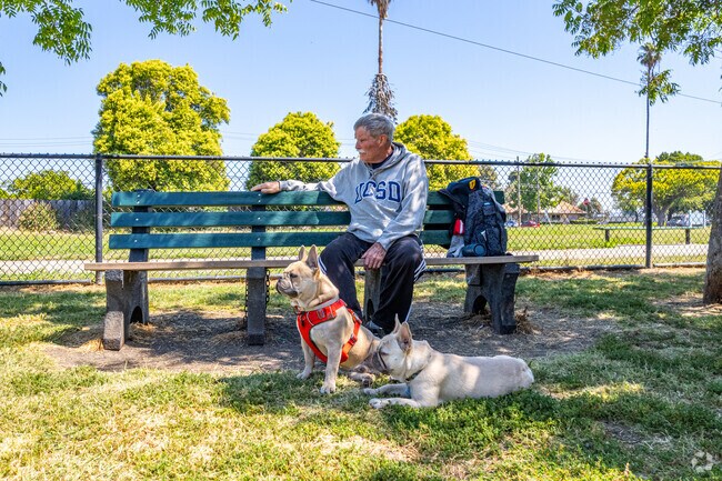 The dogs don't seem to mind their owner relaxing at the Eden Greenway dog park.