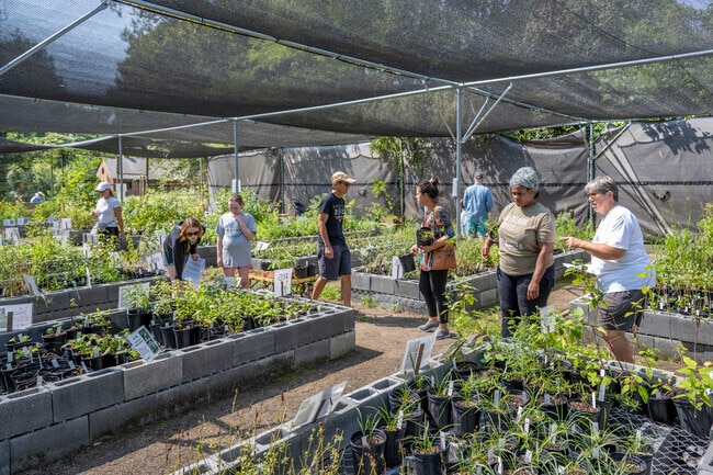 Chesapeake Natives Plant Sale runs during warmer months in Rosaryville.