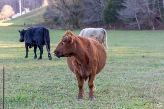 Lynn Garden is surrounded by farms and country living.