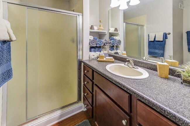 Signature Series Master Bathroom at Somerset Lakes