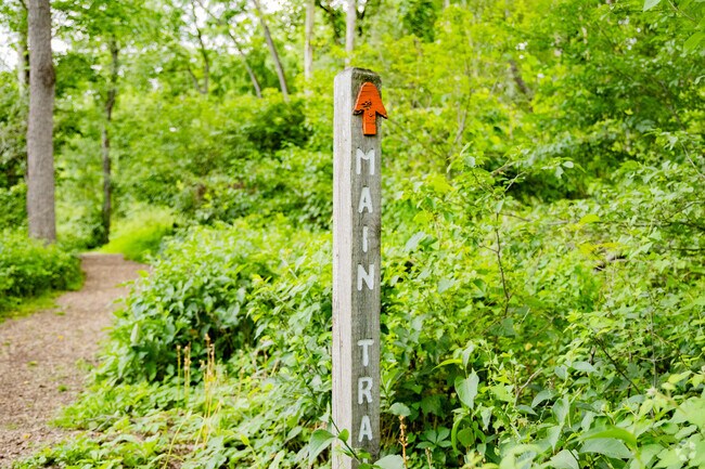 Trails at the Morales Nature Preserve in Raritan Township Hunterdon take you through wetlands and forests.