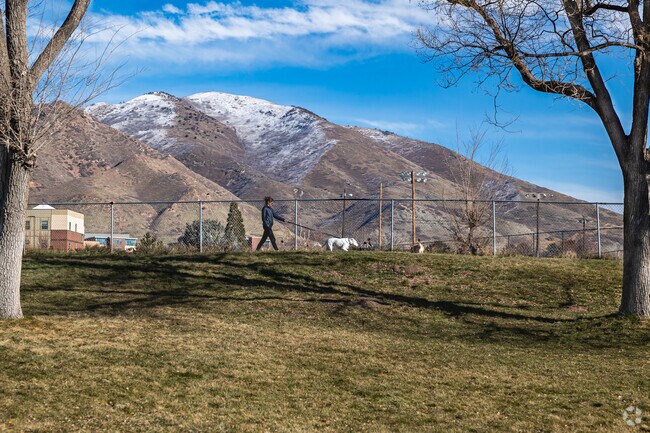 A woman walks her dogs at Sunnyside Park in University.