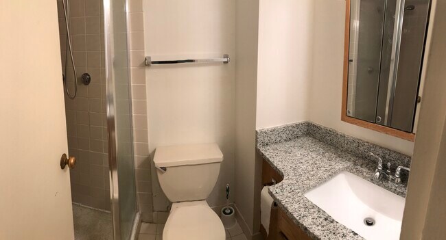 South Commons unit 23, Chicago, IL 60616 - photo 4