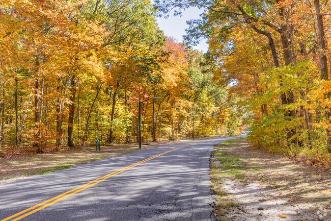 The fall foliage is a beautiful sight to see along the highways in Dix Hills.