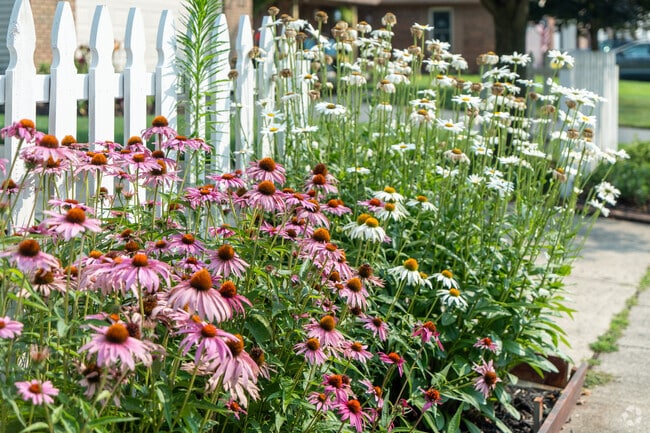 The residents of Summerwood neighborhood maintain beautiful landscaping.