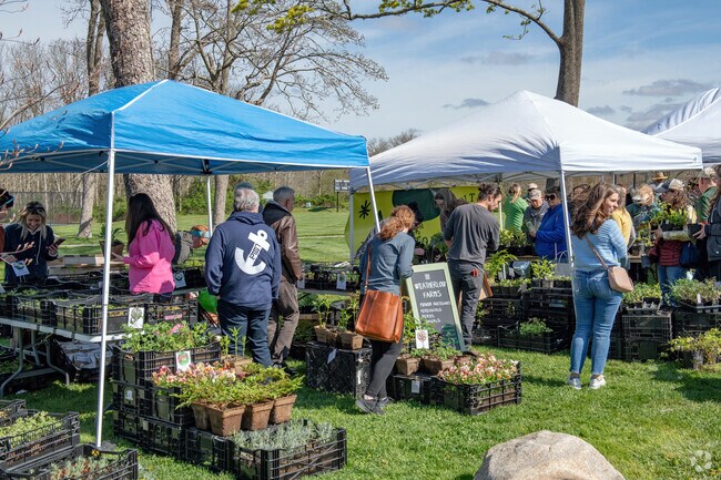 Even for novice gardeners the helpful vendors at The Sakonnet Plant Fair make selection easy.