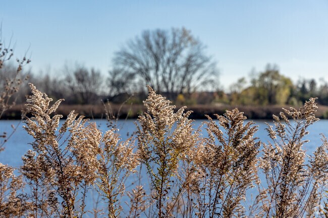 Scenic ponds can be found throughout Providence.