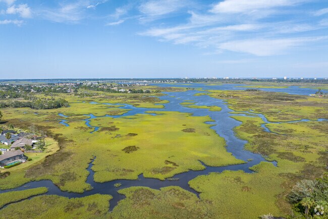 The beautiful salt-water marsh can be enjoyed in the Isle of Palms neighborhood.