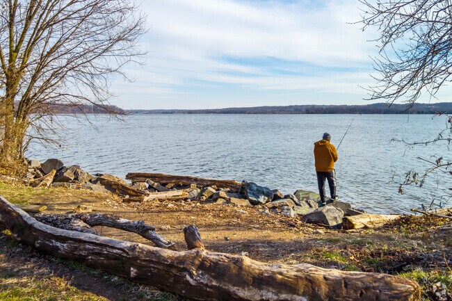 Go fishing along the Mt. Vernon Trail in the Mount Vernon neighborhood.