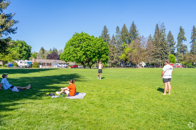 Holmberg park offers lots of outdoor space for people to hang out in.
