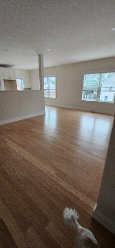 17 Hadley Place, Medford, MA 02155 - photo 7