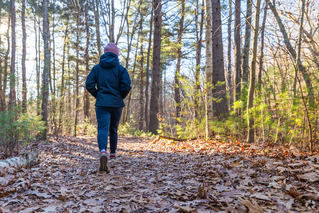 Hiker-goers can find a plethora of trails around Berlin at summer Star Wildlife Sanctuary.