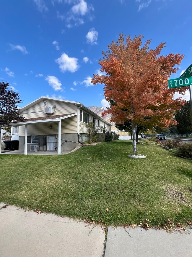 Front Yard
