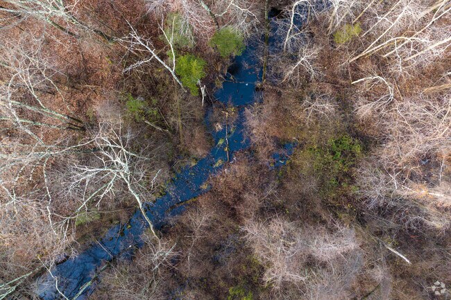 Great Oak Park in Long Hill is a dense park perfect for hiking and exploring.