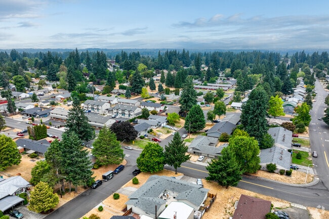 Mature trees give Marrion a forested feel.