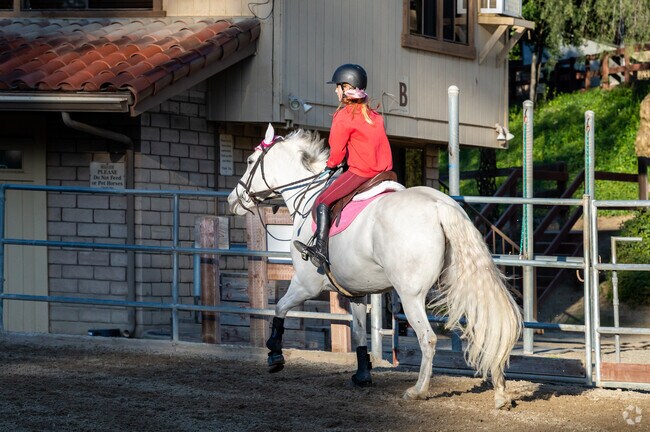 Nellie Gail's equestrian culture is on full display at Hayden Clarke Sport Horses.