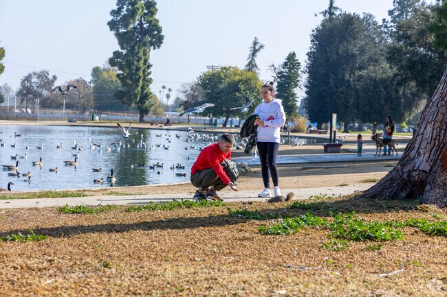 Keep some nuts in your pocket to feed the local squirrels in Reseda.