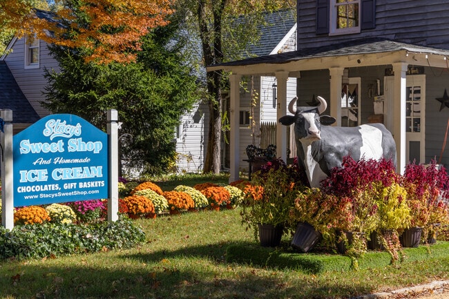 Stacy’s Sweet Shop delights Plumsted residents with ice cream and other tasty treats.