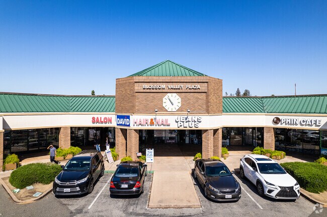 Blossom Valley Plaza in Del Robles