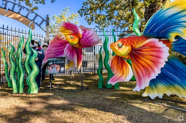 The Little Rock Zoo sets in the heart of War Memorial Park.