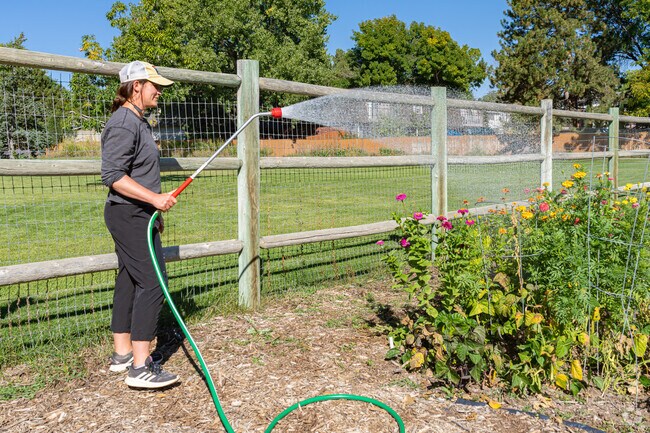 A Stonehenge resident waters her part of the Edora Park Community Garden.