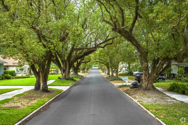 Lakeland's seven historic districts, are flanked by canopies of mature Camphor trees.
