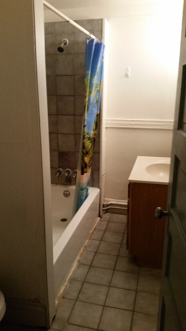 1130 S Forest Ave unit 2, Ann Arbor, MI 48104 - photo 4