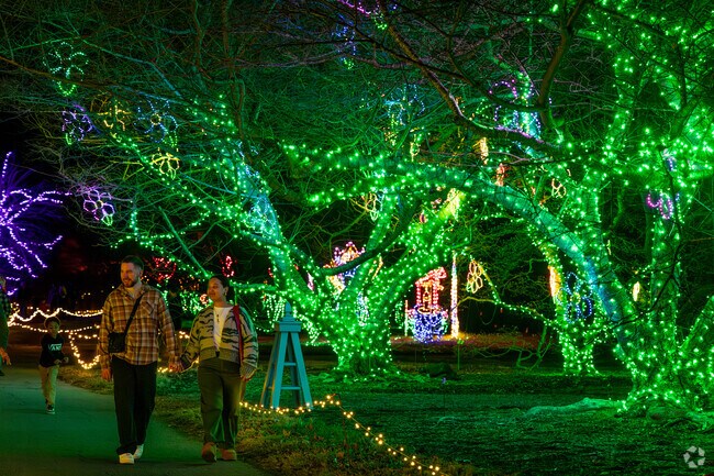 Garden of Lights brings seasonal displays to Norfolk near Larrymore Lawns.