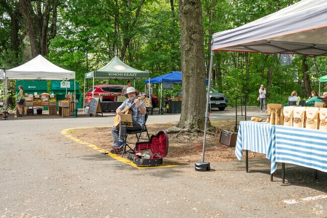Live musicians pamper those shopping at McLean's farmers markets.
