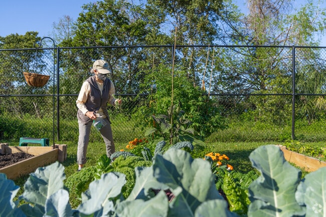 Get involved in the neighborhood's community garden and nurture your own patch of green.