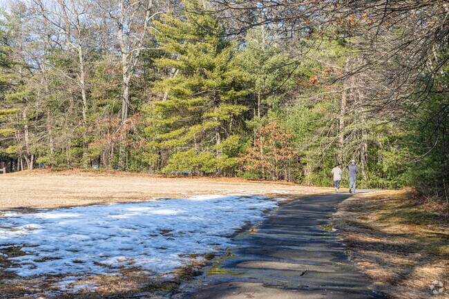 Stratton Brook State Park offers hiking trails and a sandy pond.