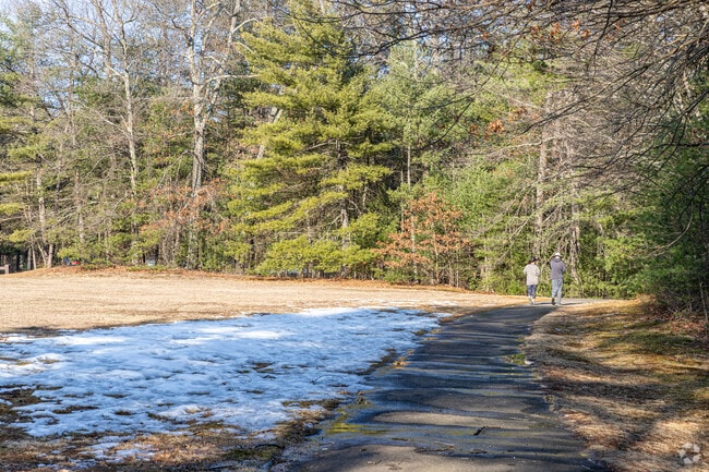 Enjoy A Hike At Stratton Brook State Park
