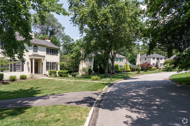 A row of single-family homes lines a shaded street in Rosemont.