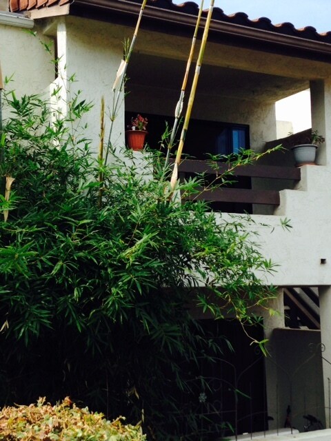 2425 Cranston Dr unit 218, Escondido, CA 92025 - photo 3