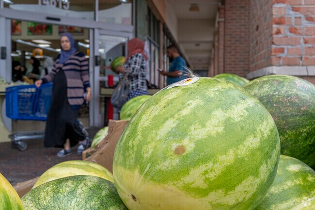 Papaya Fruit Market offers fresh produce and groceries in Oakman Grove.