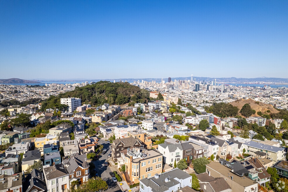 Buena Vista/Ashbury Heights