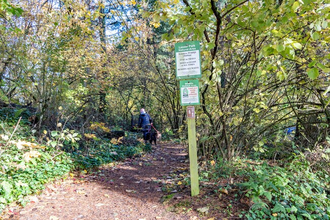 Lesser Park is an excellent place for an afternoon dog walk in the Far Southwest neighborhood.