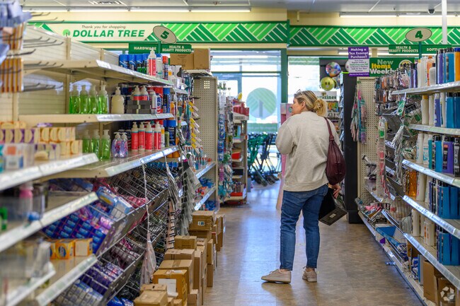 Rose Hill Plaza is home to many chain stores like Dollar Tree.