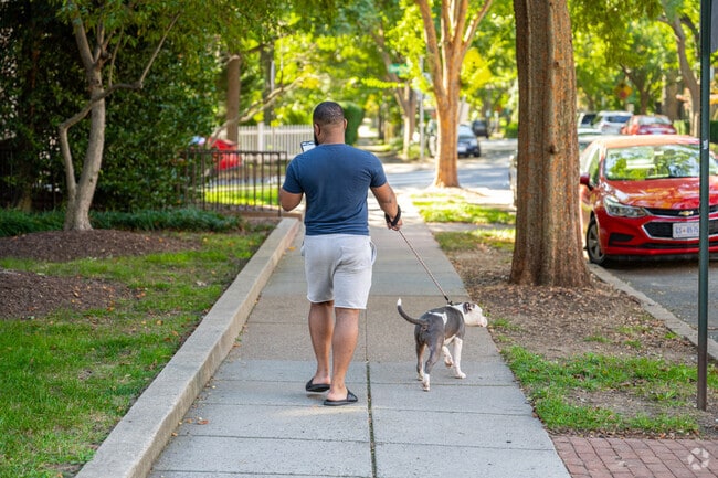 A Wakefield resident walks their dog down Ellicott Street NW.