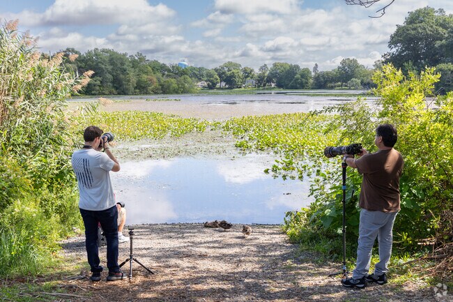 Spot a Hooded Merganser at he Massapequa Preserve in North Massapequa.
