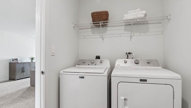 262 Snow Drop Ln, Elgin, IL 60124 - photo 6