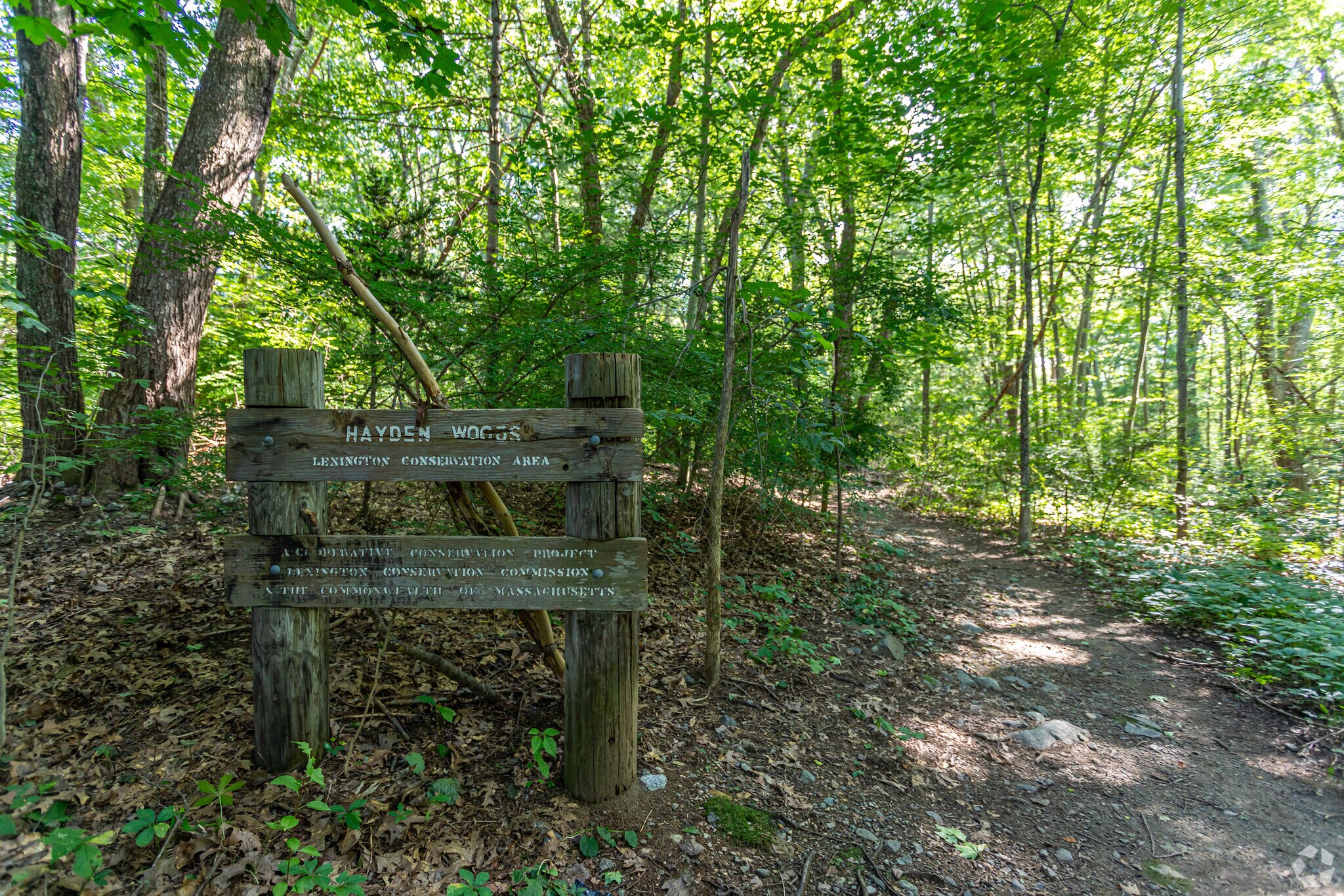 Hayden Woods sign in Woodhaven.