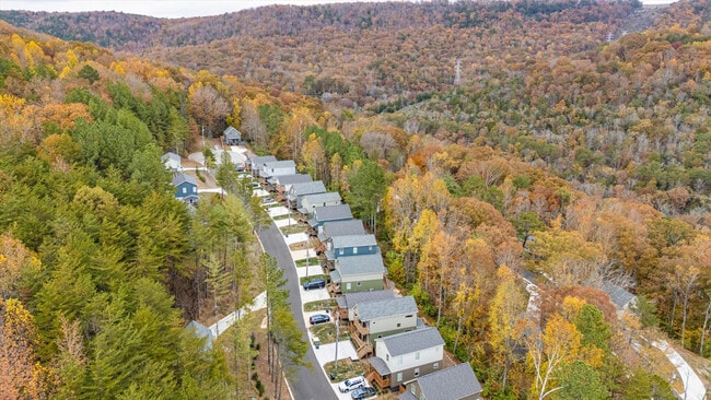 323 Kelly's Ferry Place unit ID1352406P, Chattanooga, TN 37419 - photo 3