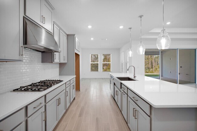 1685 Trailhead Ln, Zephyrhills, FL 33541 - photo 2