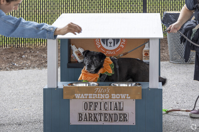 Liberty Square residents can head downtown events like Tails on the Rails Halloween event.