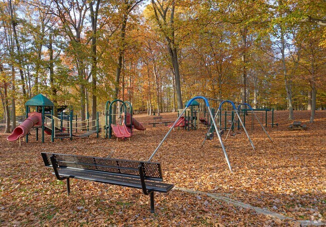 Beechwood Park provides a safe space for children to play on the playground and for residents to enjoy nature.