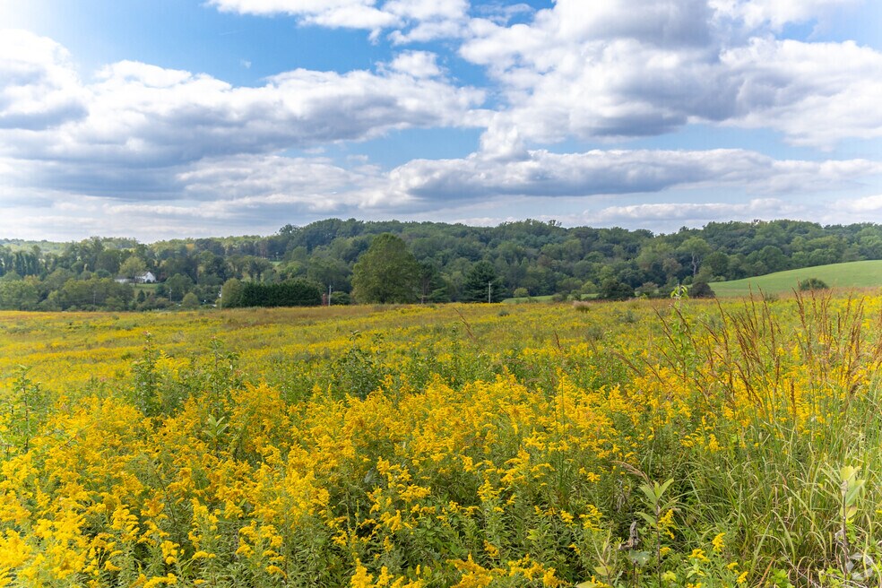 Neighborhood_Montchanin_Final_110823