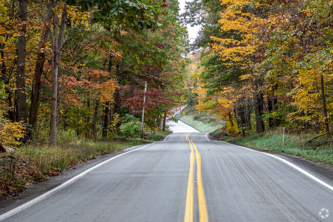 Springfield is filled with tree lined country roads.